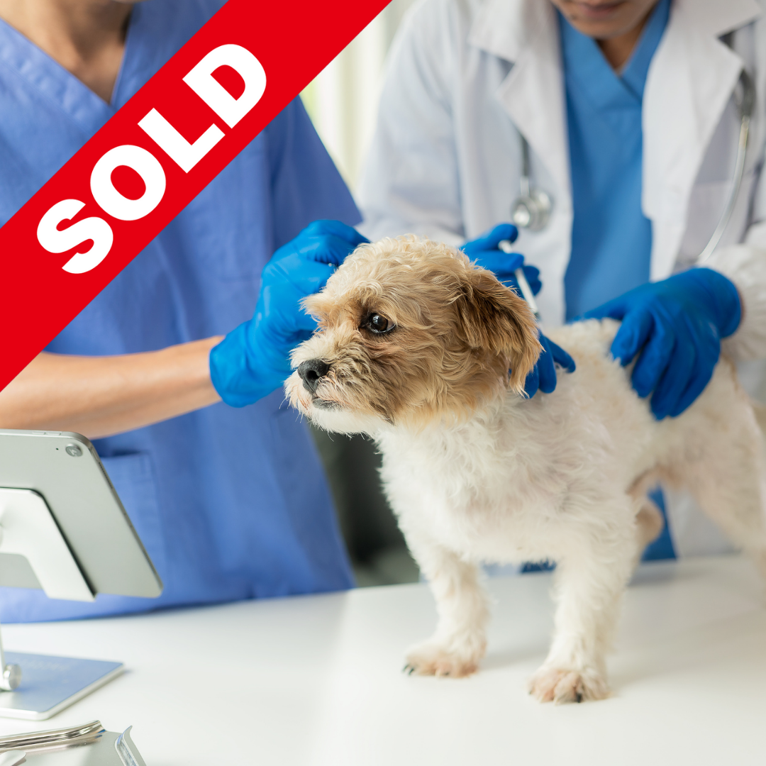 ZBB2051 Veterinary Clinic